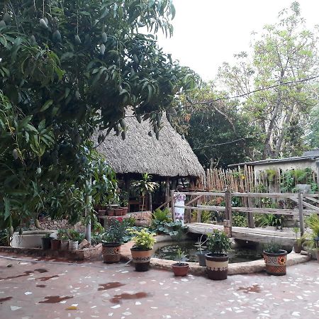 Bed and Breakfast El Chac Mool Санта-Элена Экстерьер фото