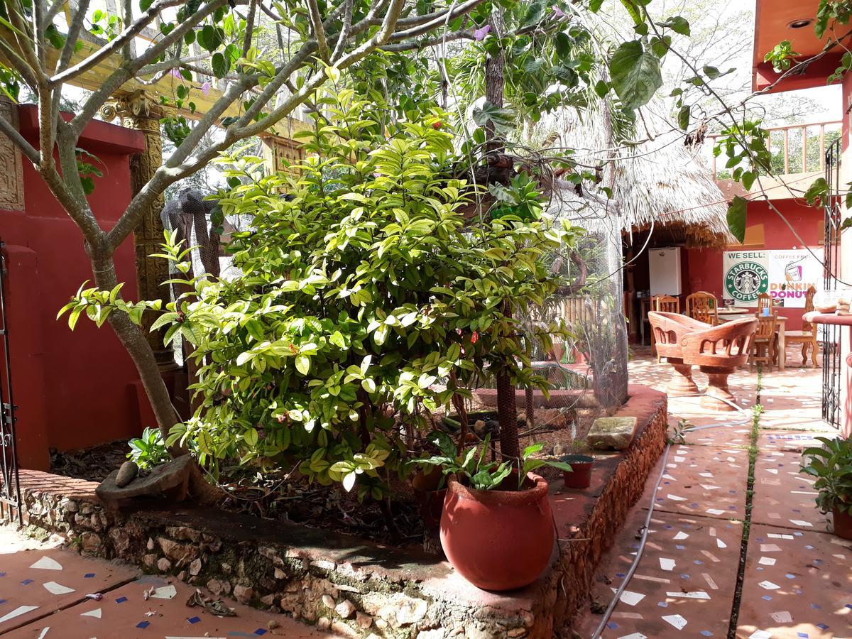 Bed and Breakfast El Chac Mool Санта-Элена Экстерьер фото