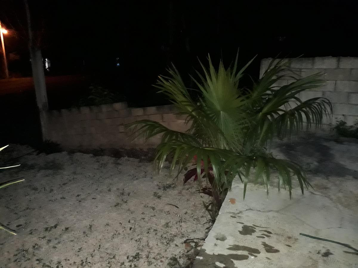Bed and Breakfast El Chac Mool Санта-Элена Экстерьер фото