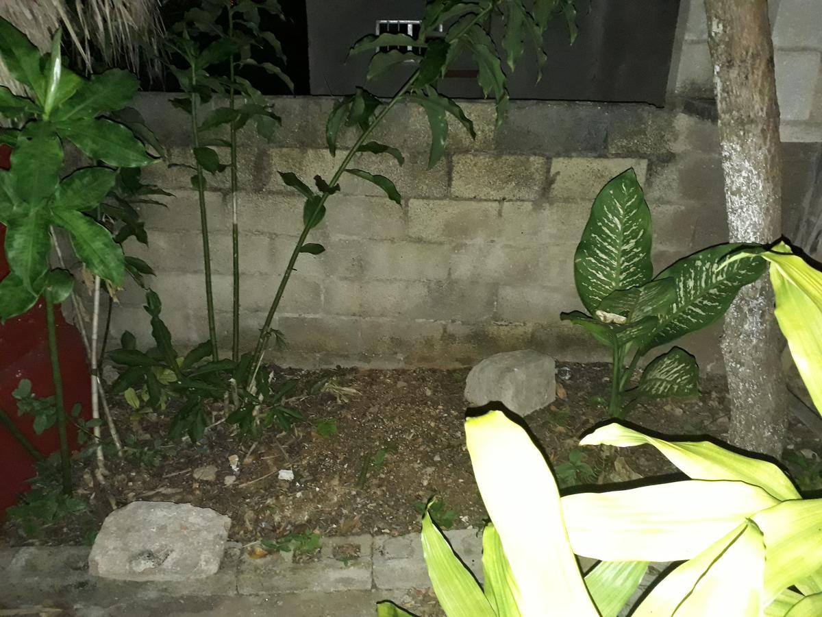 Bed and Breakfast El Chac Mool Санта-Элена Экстерьер фото