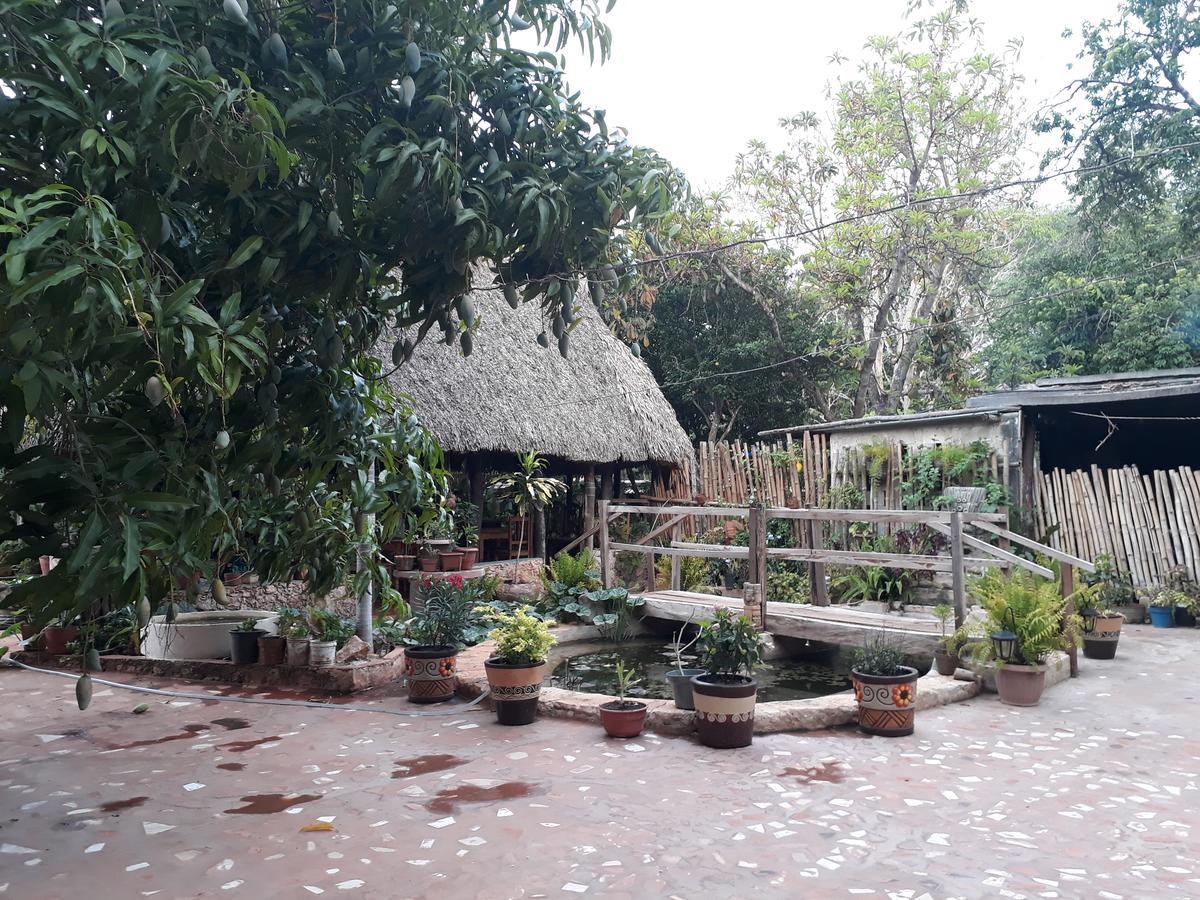 Bed and Breakfast El Chac Mool Санта-Элена Экстерьер фото
