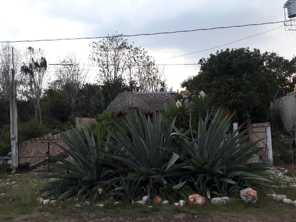 Bed and Breakfast El Chac Mool Санта-Элена Экстерьер фото